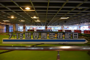 技能筑梦 青春飞扬——我市成功举办世界青年技能日系列宣传活动成果展