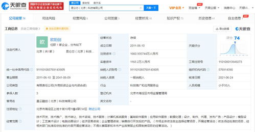 昆仑芯更名启新程，注册资本增约16%深化软件服务布局